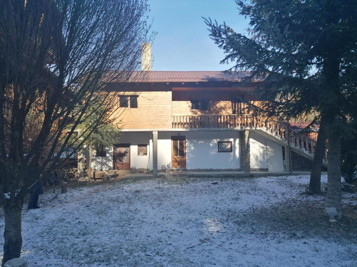 Pensiunea Perla Maramuresului Borşa Εξωτερικό φωτογραφία