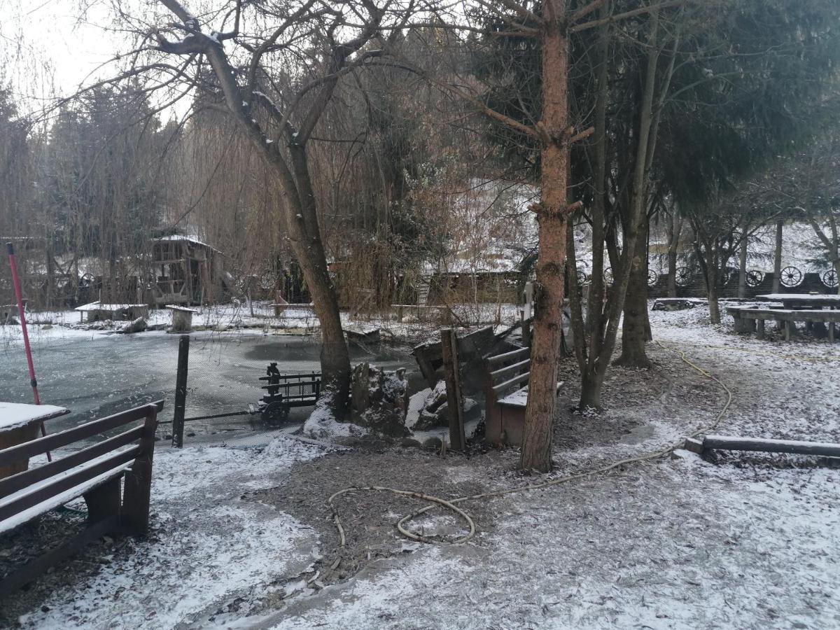 Pensiunea Perla Maramuresului Borşa Εξωτερικό φωτογραφία