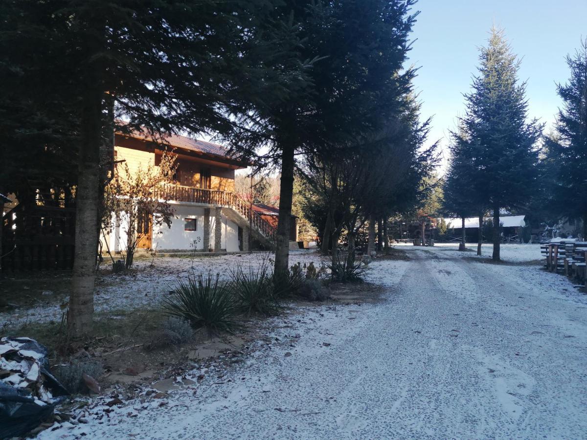 Pensiunea Perla Maramuresului Borşa Εξωτερικό φωτογραφία