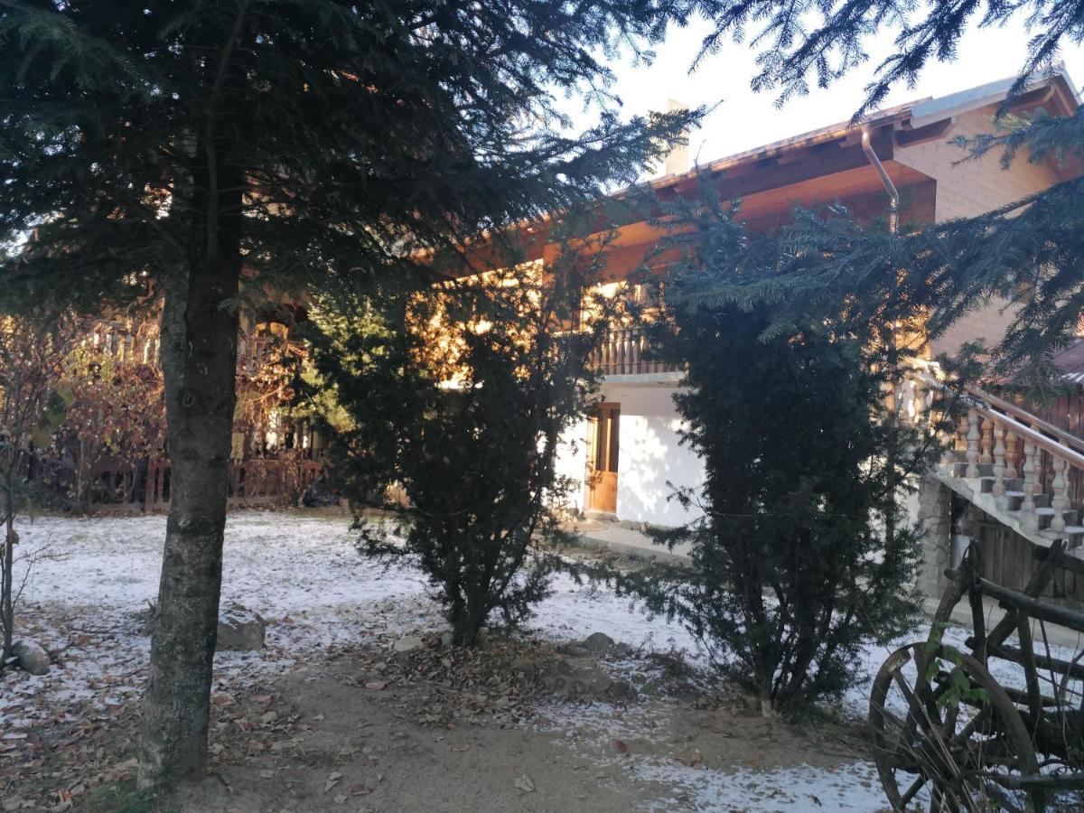 Pensiunea Perla Maramuresului Borşa Εξωτερικό φωτογραφία