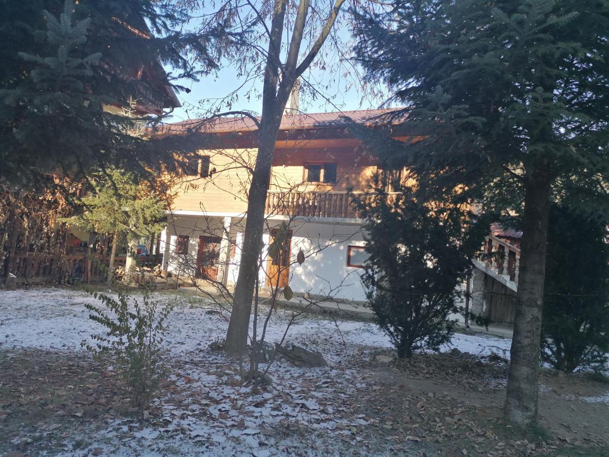 Pensiunea Perla Maramuresului Borşa Εξωτερικό φωτογραφία