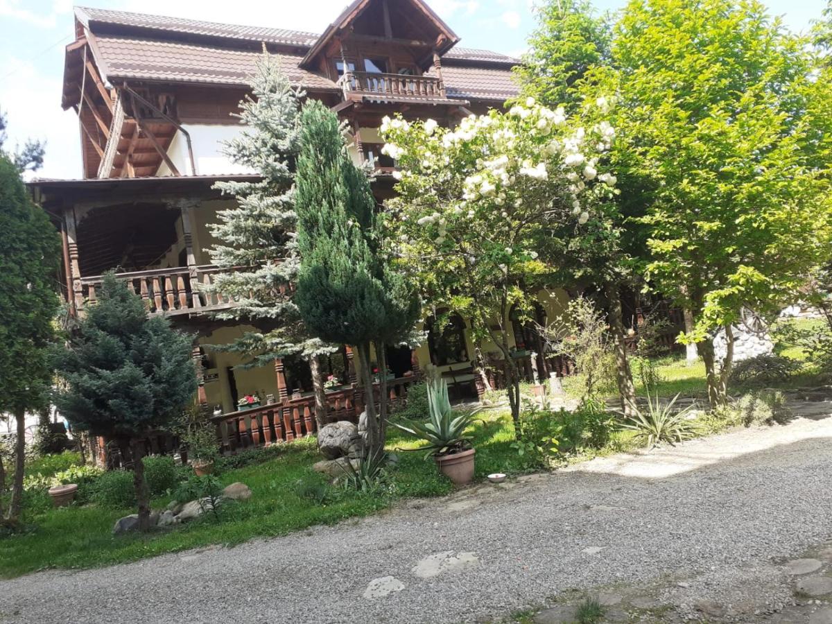 Pensiunea Perla Maramuresului Borşa Εξωτερικό φωτογραφία